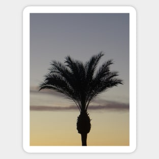 Single Palm Tree Silhouette at Sunset Sticker